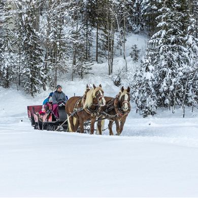 Pferdeschlittenfahrten