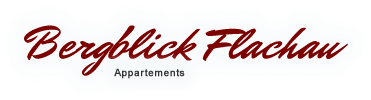 appartements-bergblick-flachau