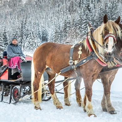 Pferdeschlittenfahrt