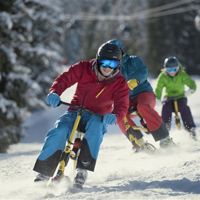 Skibob