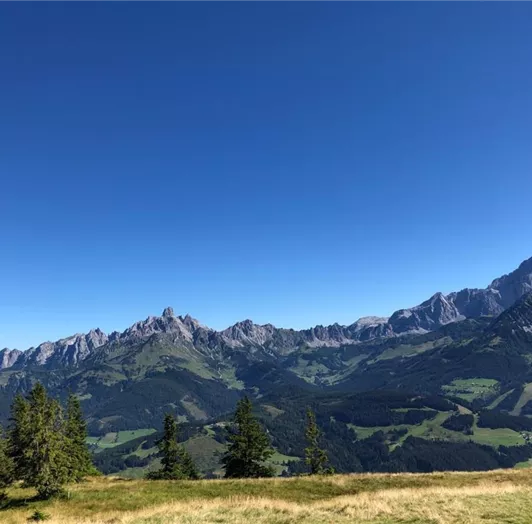 0BE98DD2-83C8-4FF4-BED2-4F18C2B42595