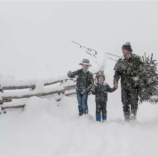 15585232_1502668286427451_3669886202936757013_o