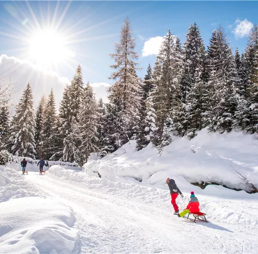 18_flachau_winter_rodeln_familie_1