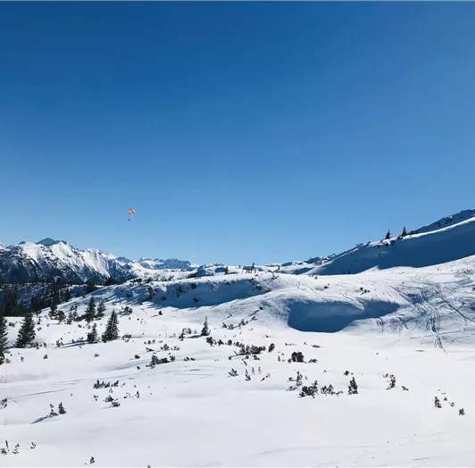 18AE5BB3-981C-48BF-8023-964740206DF5