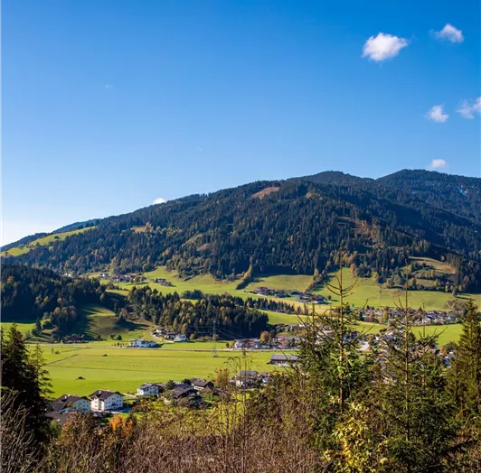 19.10.2020 - Winterbauer, Reitecksee, Höch © FH (4