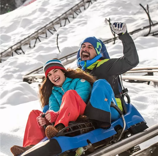Sommer-Winter Rodeln Lucky Flizzer