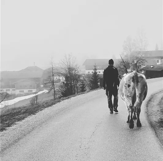 1D6316A6-618F-43D3-B6C2-CCE42B056EDC