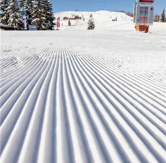 20130228_martinlugger_MLUG7642