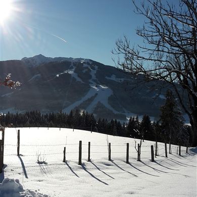 A winter landscape with snow-covered fields and a clear blue sky. In the background, snow-covered mountains and trees can be seen.