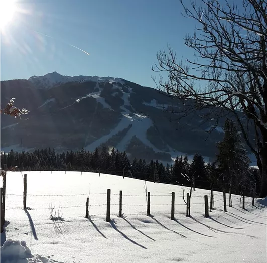 A winter landscape with snow-covered fields and a clear blue sky. In the background, snow-covered mountains and trees can be seen.