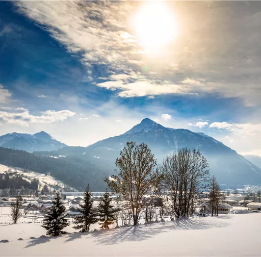 20190131_PrechtlhofAussenWinter_108