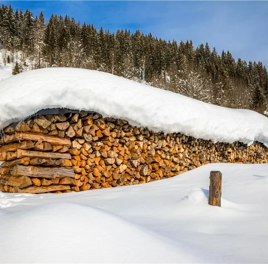 20190131_PrechtlhofAussenWinter_117