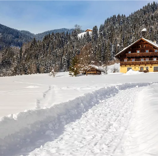 20190131_PrechtlhofAussenWinter_171