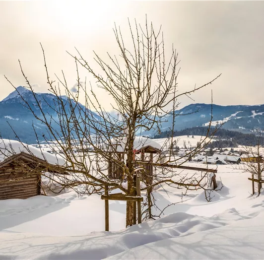 20190131_PrechtlhofAussenWinter_213-Pano