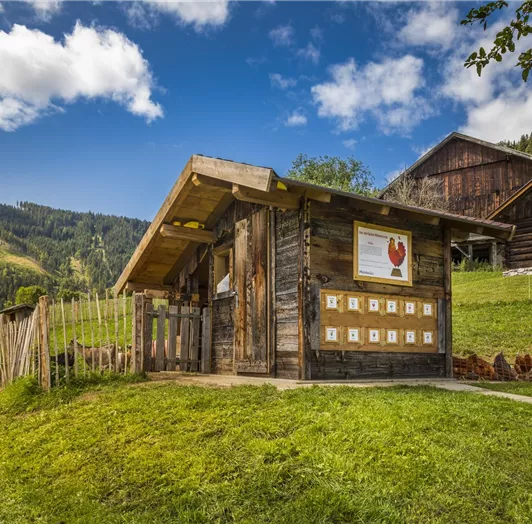 20190816_PrechtlhofAussen_077_klein