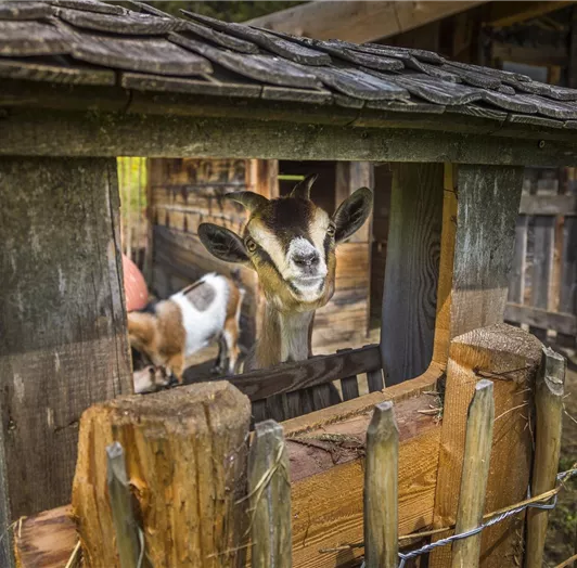 20190816_PrechtlhofAussen_093_klein