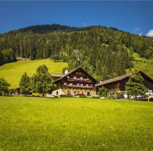 20190816_PrechtlhofAussen_109_klein