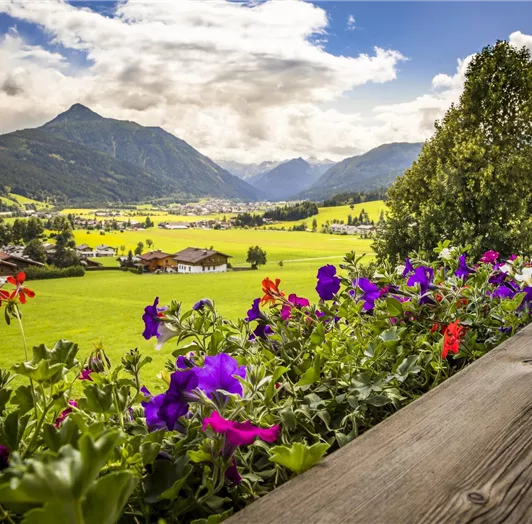 20190816_PrechtlhofAussen_147-HDR_klein