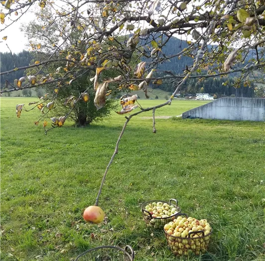 20191015_170959