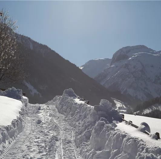 20220204-Österreich Winter 2022-1186