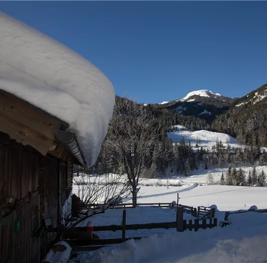 20220204-Österreich Winter 2022-1178