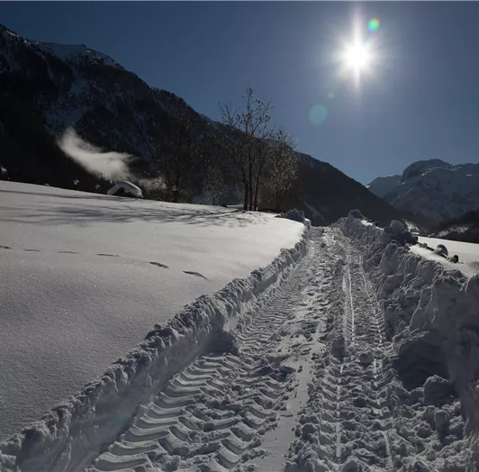 20220204-Österreich Winter 2022-1182