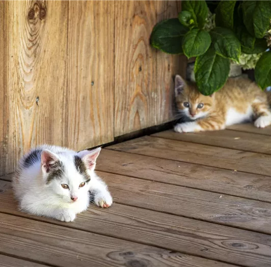 20230906_PrechtlhofAussen02_038_klein