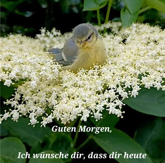 20250522_060511000_iOS