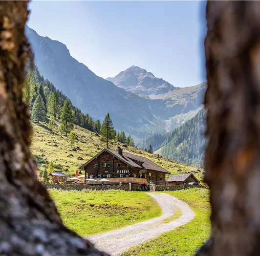 21_flachau_sommer_wandern_almen_marbachalm_prechtl