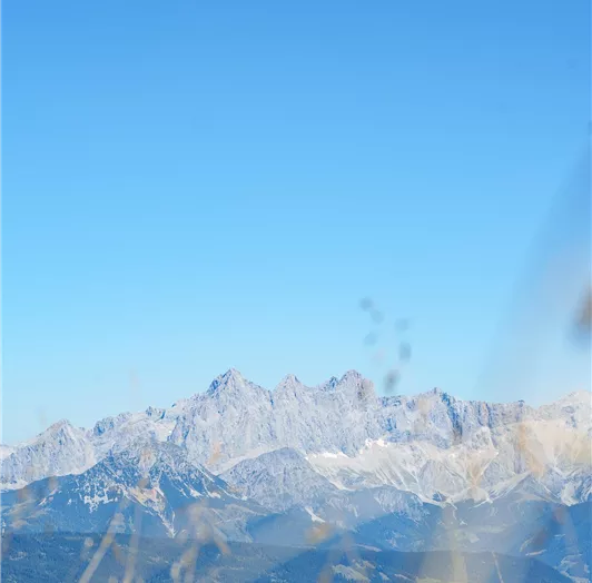 23_flachau_sommer_wandern_lackenkogel_aussicht dac