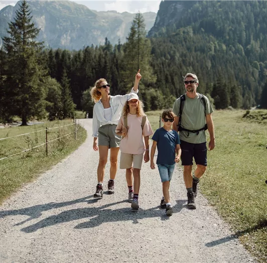 A family is walking along a gravel path through the picturesque mountain landscape of the beautiful Marbach Valley in Flachauwinkl.