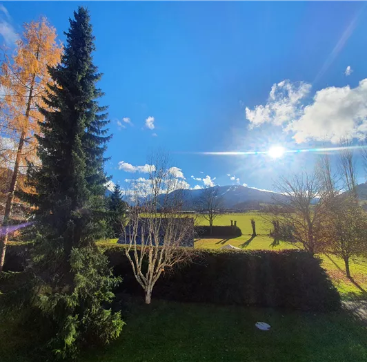 65m2-Apartment (Aussicht vom Balkon 5.11.2021)