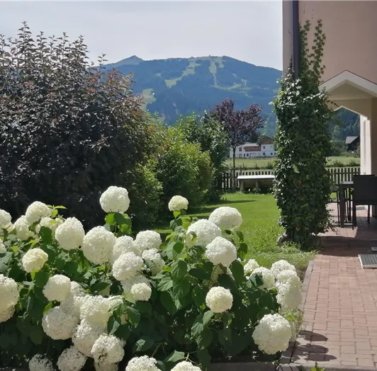 Ein schöner Garten mit weißen Hortensien und einem Blick auf die Berge im Hintergrund. Die Sonne scheint und schafft eine entspannte Atmosphäre.