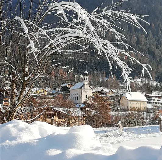 7e1fc9c4-7ccd-4393-ad0f-c98933d1d2f2