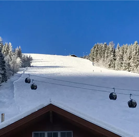 A3DCFAFE-5CF4-4B31-8904-F7D765C6D65E