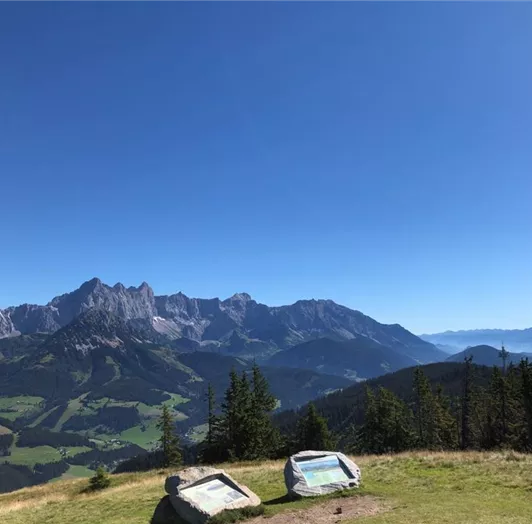 AC717C75-9C34-4AAC-B1BA-39B6FAC1FAF3