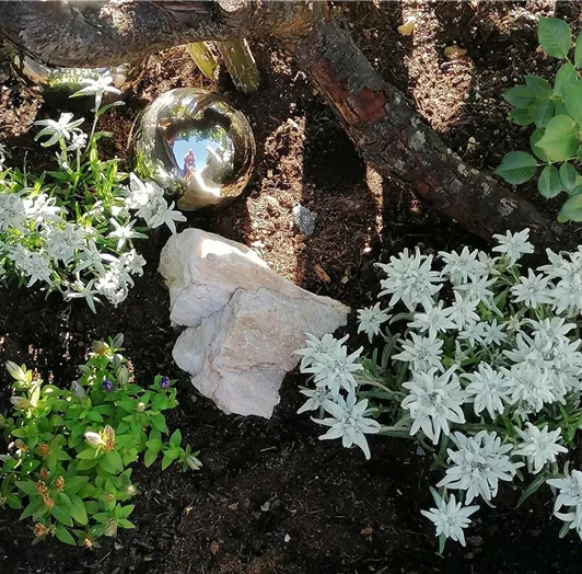Alpen-Garten-Freude in der D'Hoamatliab
