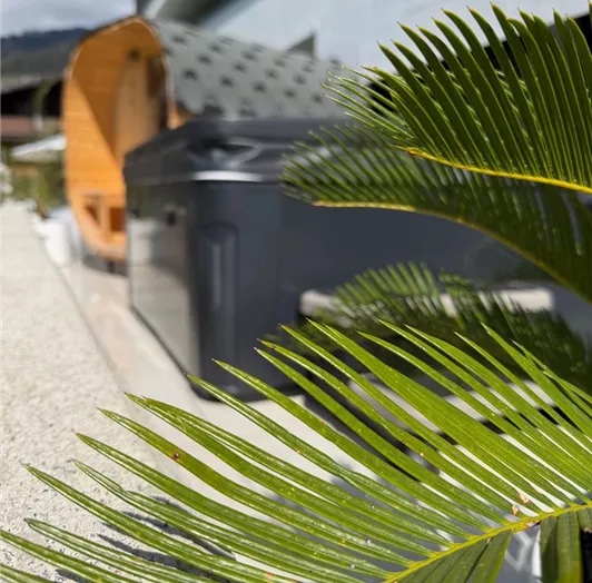 Ein mediterrane Terrasse mit einem Whirlpool und einem gemütlichen Outdoor Sauna im Hintergrund. Vordergrund zeigt eine grüne Palme.