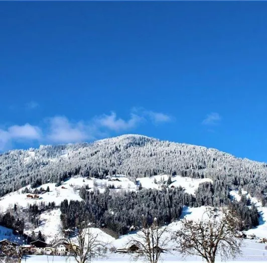 alpenzeit_uitzicht_op_reitdorf_winter