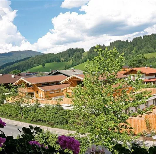 Alpin Chalet Cassic Flachau 12-18 persons