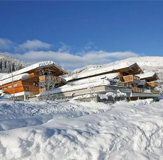 Alpin Chalet Flachauwinkl nähe Highport