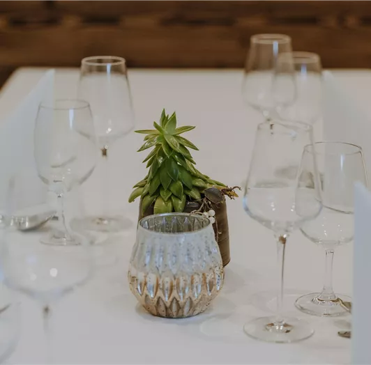 Ein schön gedeckter Tisch mit mehreren Weingläsern und einer kleinen Pflanze in der Mitte.