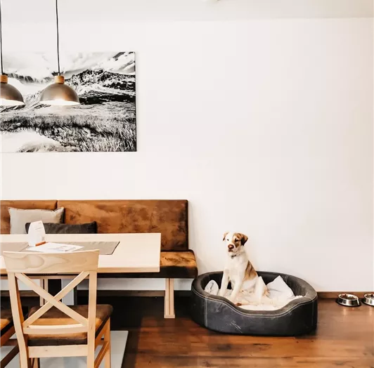 Apart Jasmin - Vacation with your dog
