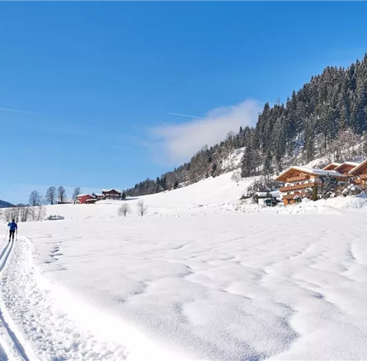 aparthote-direkt-an-der-loipe-gross