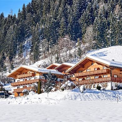 aparthotel-im-winter-gross