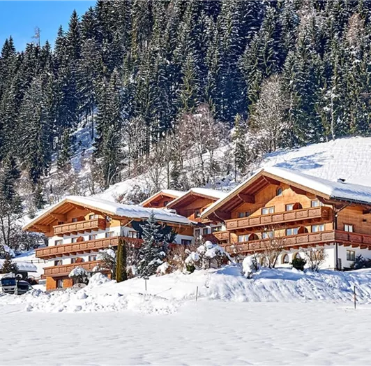 aparthotel-im-winter-gross