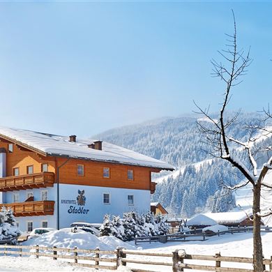 Aparthotel Winter