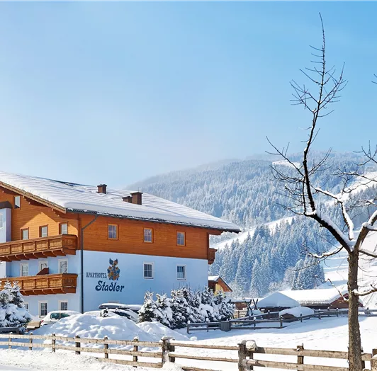 Aparthotel Winter