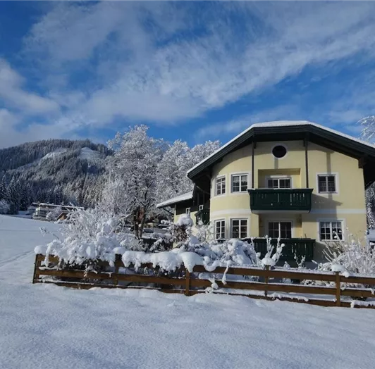 Apartments Geistlinger Winter