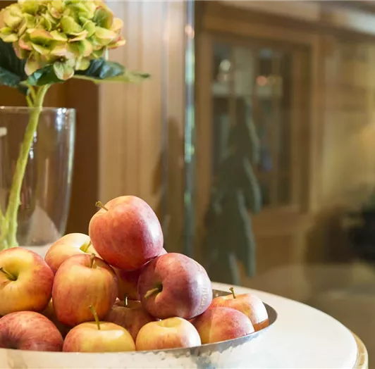 apfel-jause-ennstalerhof-altenmarkt